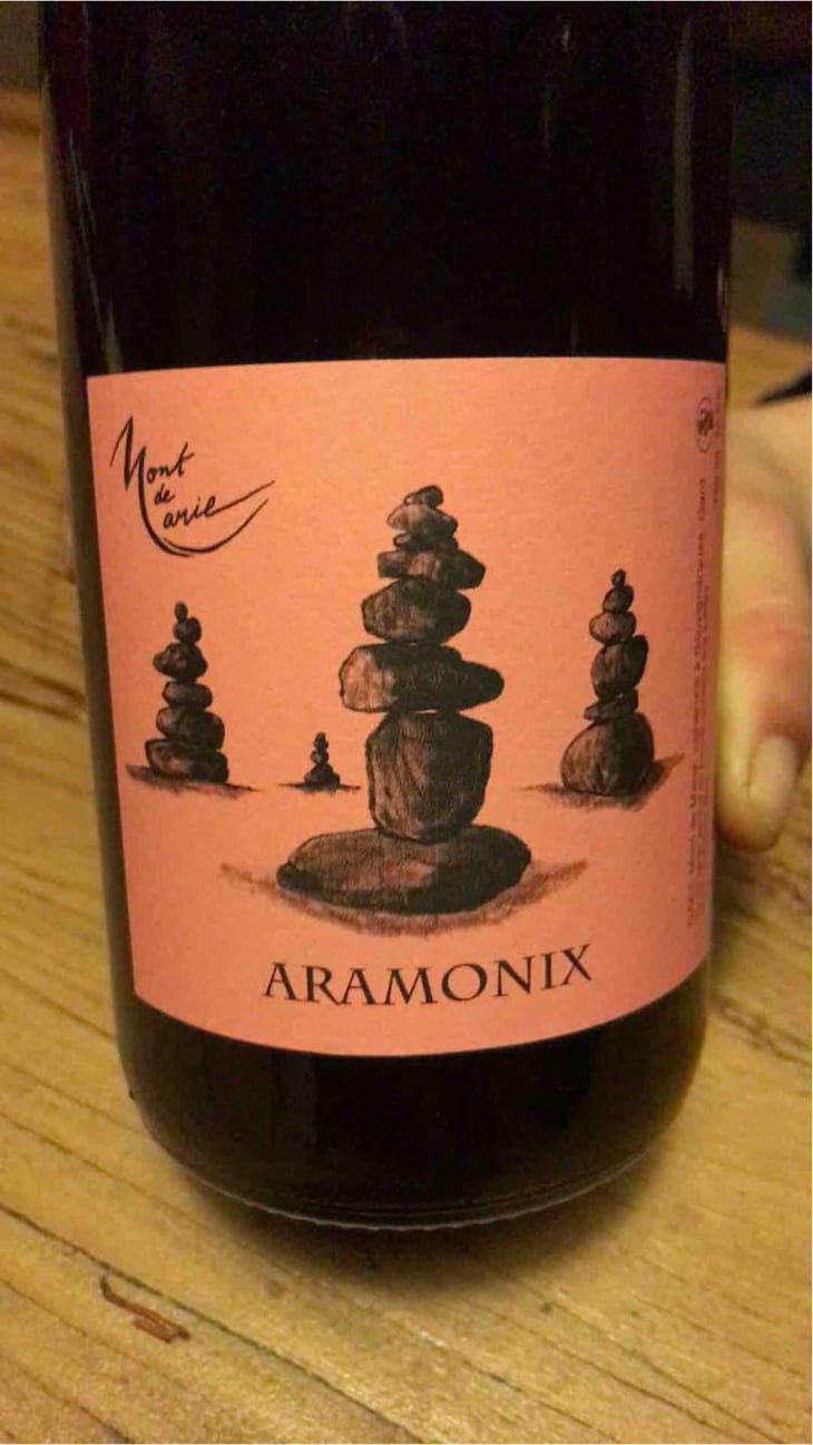 Aramonix - Mont de Marie - Thierry Forestier 