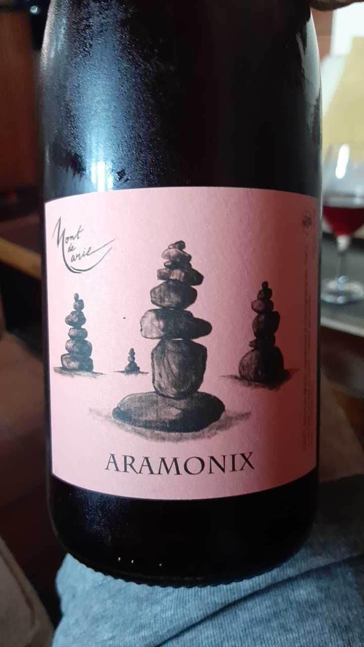 Aramonix - Mont de Marie - Thierry Forestier 