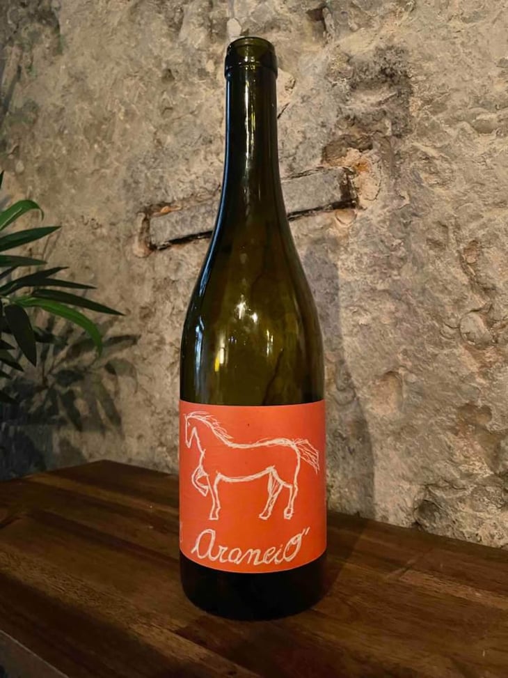 Arancio - Conestabile Della Staffa - Danilo Marcucci 