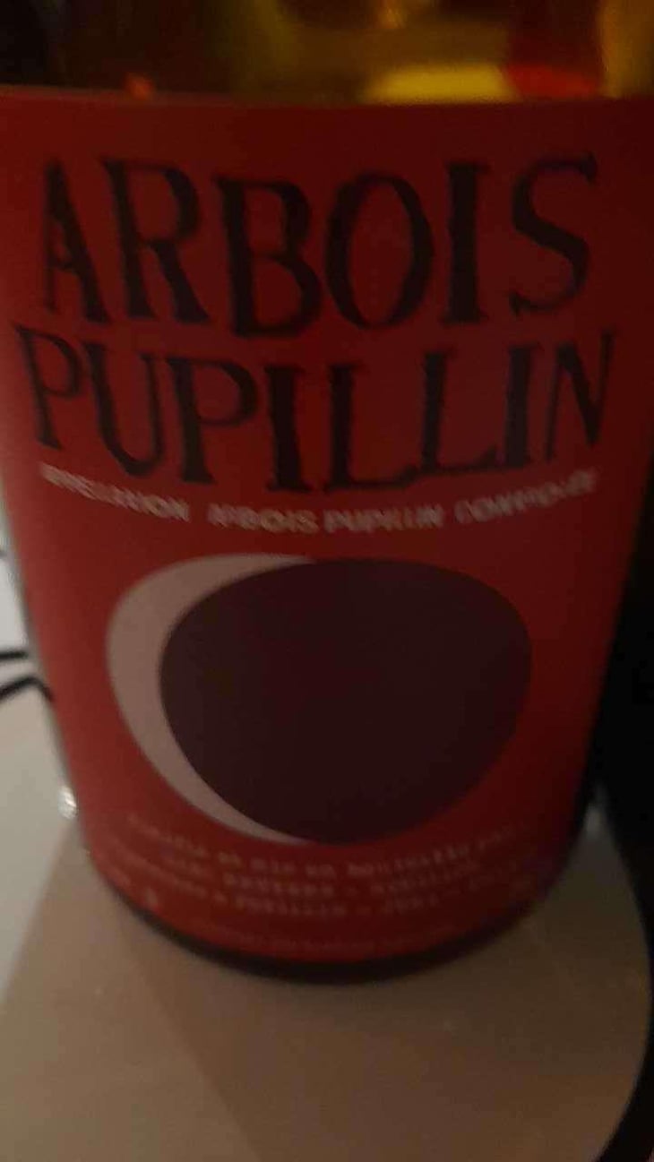 Arbois "Ploussard" - Domaine Renaud Bruyère & Adeline Houillon - Renaud Bruyère & Adeline Houillon 