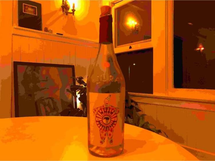 Arbois "Ploussard" - Domaine Renaud Bruyère & Adeline Houillon - Renaud Bruyère & Adeline Houillon 