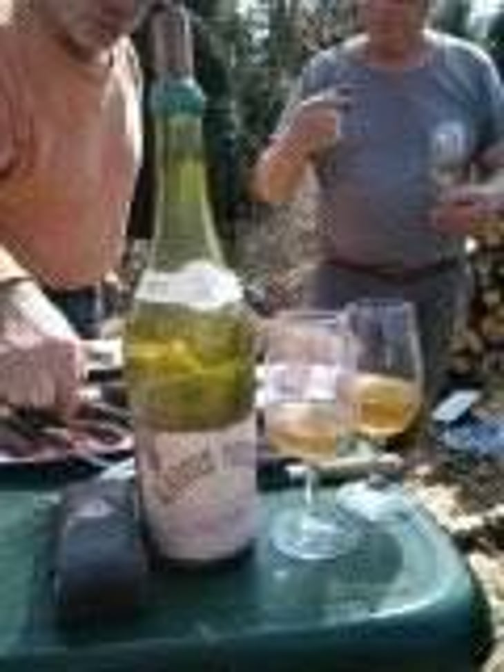 Arbois-Pupillin - Chardonnay/Savagnin - Maison Pierre Overnoy - Emmanuel Houillon & Pierre Overnoy 