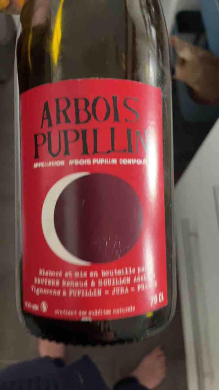Arbois-Pupillin "Ploussard" - Domaine Renaud Bruyère & Adeline Houillon - Renaud Bruyère & Adeline Houillon 