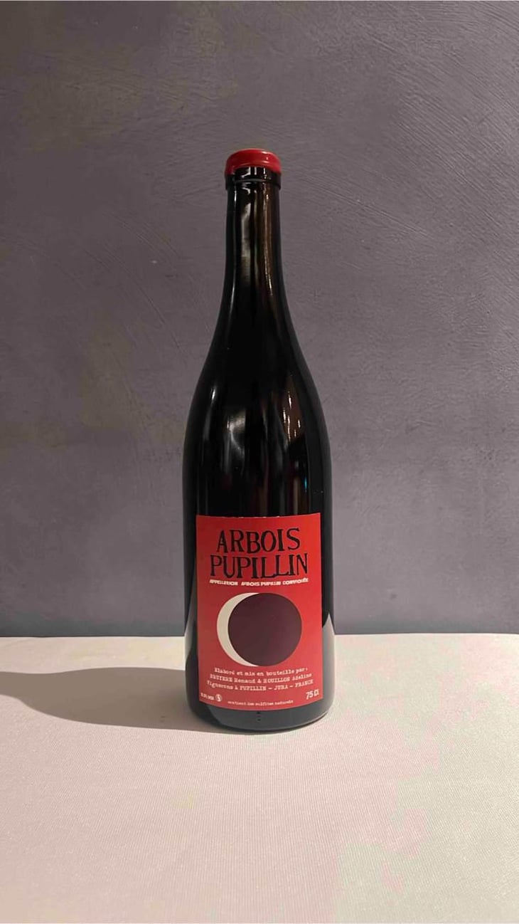 Arbois-Pupillin "Ploussard" - Domaine Renaud Bruyère & Adeline Houillon - Renaud Bruyère & Adeline Houillon 