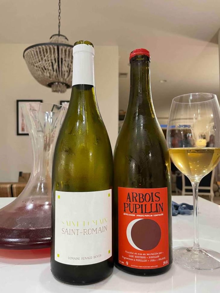 Arbois-Pupillin "Ploussard" - Domaine Renaud Bruyère & Adeline Houillon - Renaud Bruyère & Adeline Houillon 