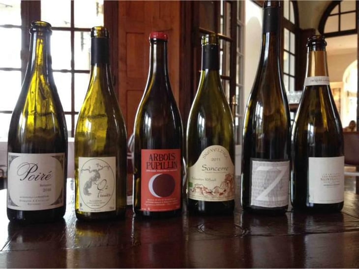 Arbois-Pupillin "Ploussard" - Domaine Renaud Bruyère & Adeline Houillon - Renaud Bruyère & Adeline Houillon 