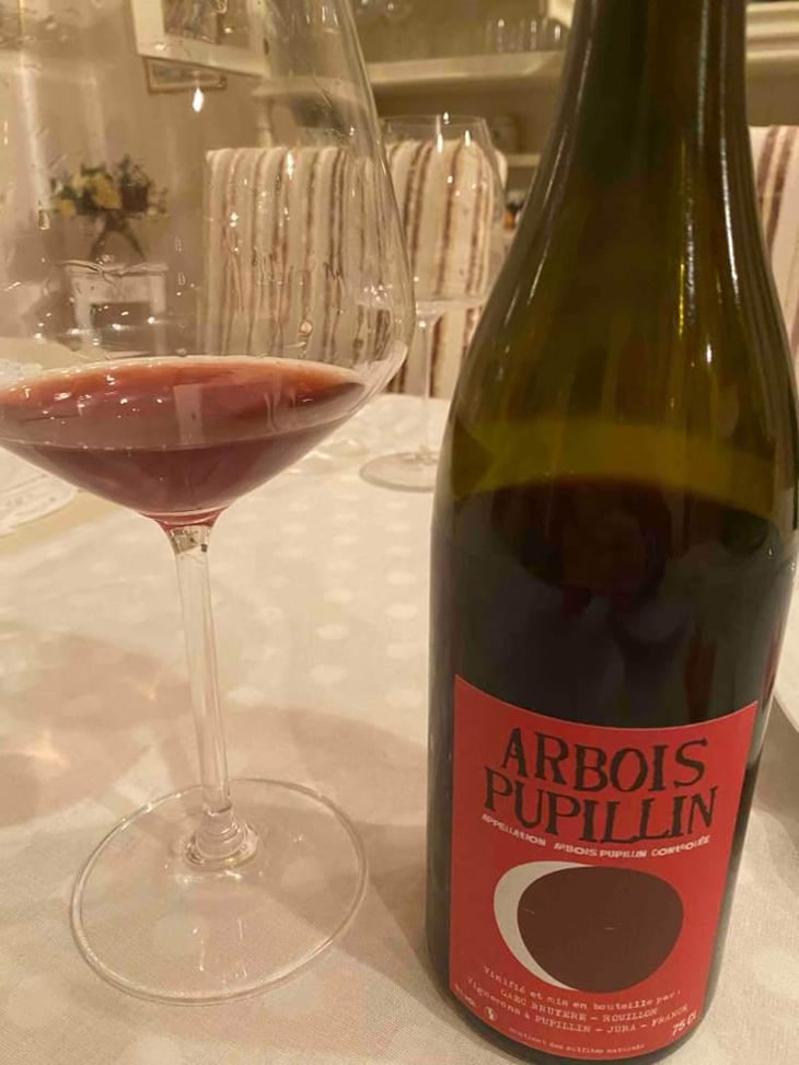 Arbois-Pupillin "Ploussard" - Domaine Renaud Bruyère & Adeline Houillon - Renaud Bruyère & Adeline Houillon 