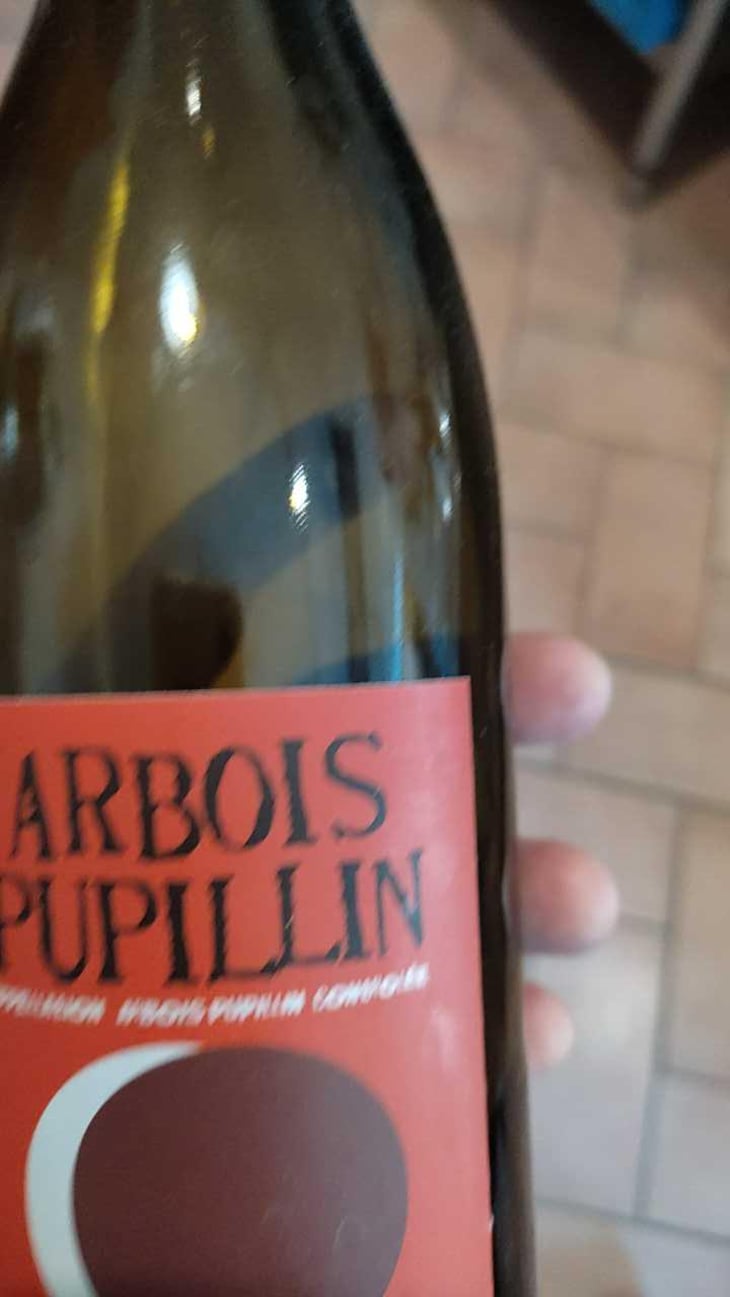 Arbois-Pupillin - Ploussard - Maison Pierre Overnoy - Emmanuel Houillon & Pierre Overnoy 