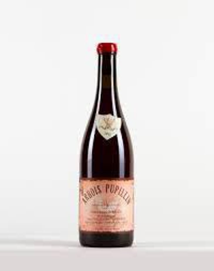 Arbois-Pupillin - Ploussard - Maison Pierre Overnoy - Emmanuel Houillon & Pierre Overnoy 