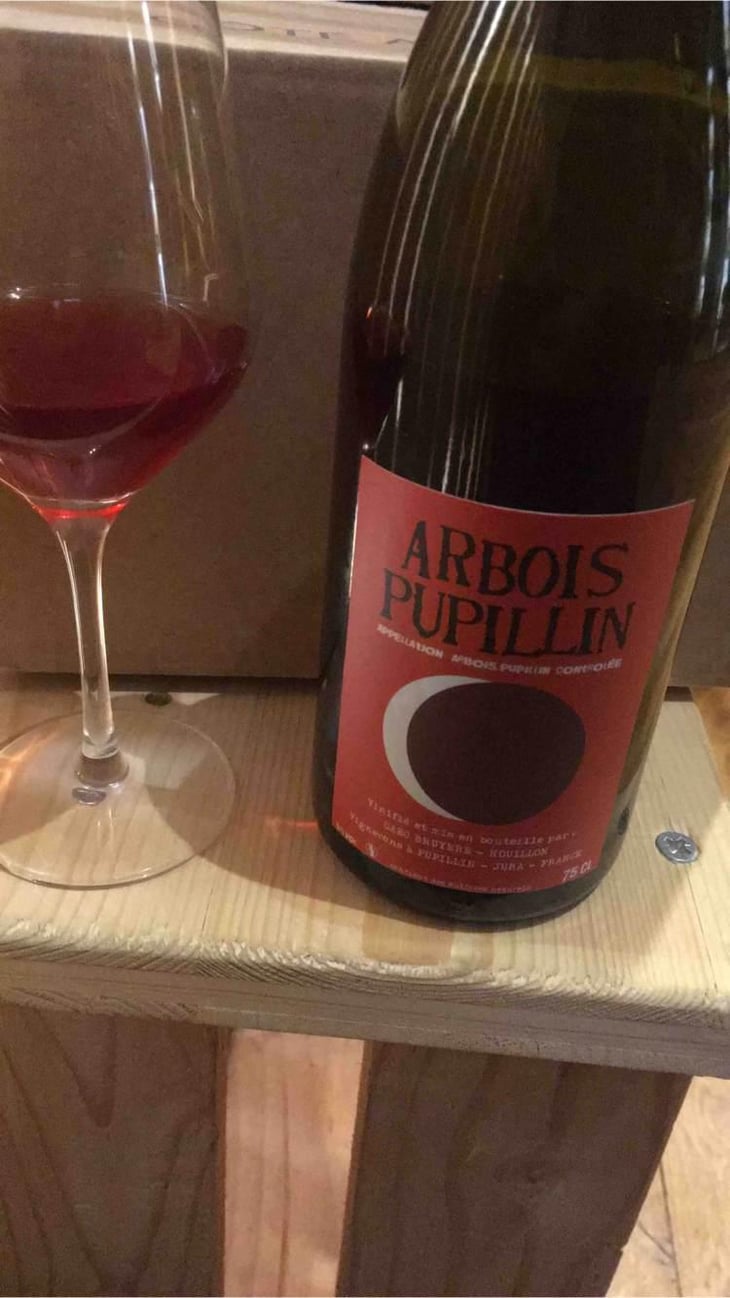 Arbois-Pupillin "Ploussard - En Aspis" - Domaine Renaud Bruyère & Adeline Houillon - Renaud Bruyère & Adeline Houillon 