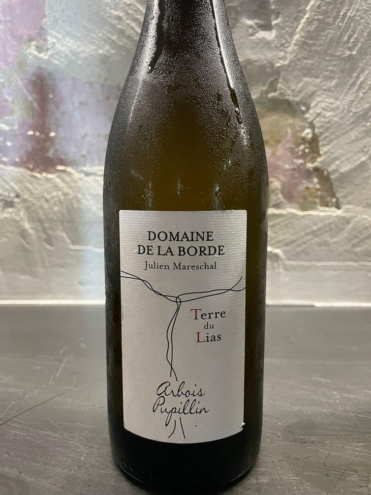 Terre du Lias - Domaine de la Borde - Julien Mareschal 