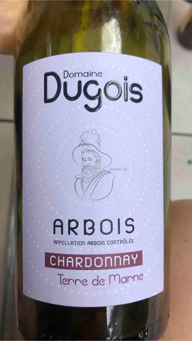 Arbois Terre De Marne - Domaine Daniel Dugois - Philippe et Mélanie Dugois -2020