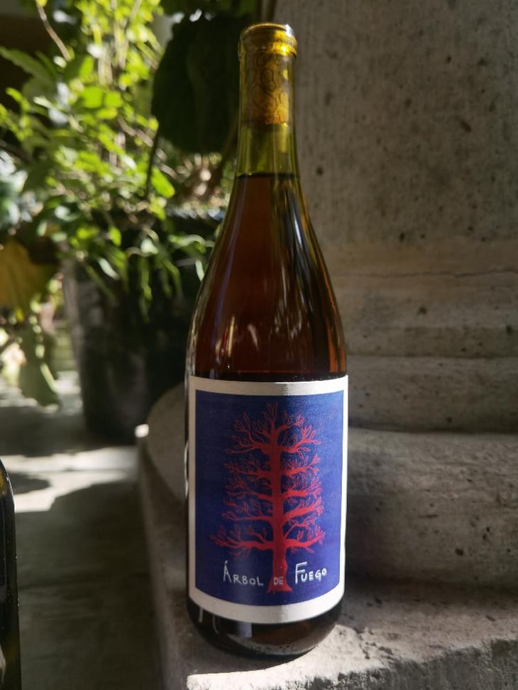 Árbol de Fuego - Vinos Pijoan - Silvana Pijoan 