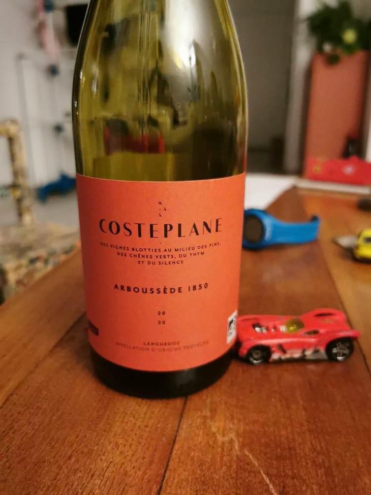 Arboussede 1850 - Domaine Costeplane - Françoise & Vincent Coste 