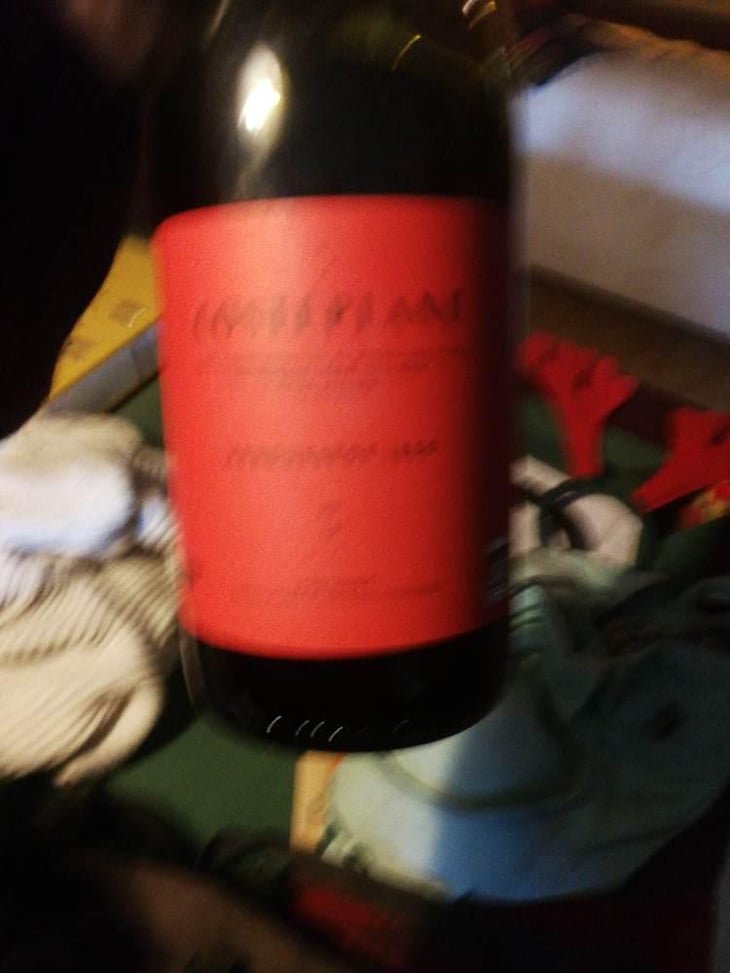 Arboussede 1850 - Domaine Costeplane - Françoise & Vincent Coste 