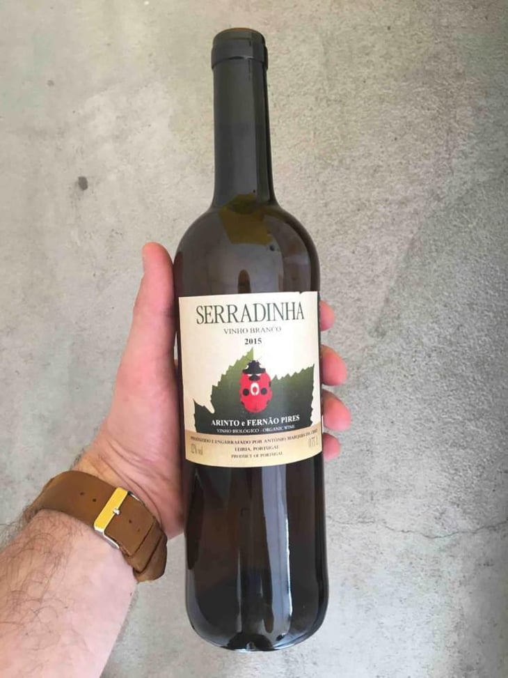 Arinto e Fernão Pires - Quinta da Serradinha - António Marques da Cruz 