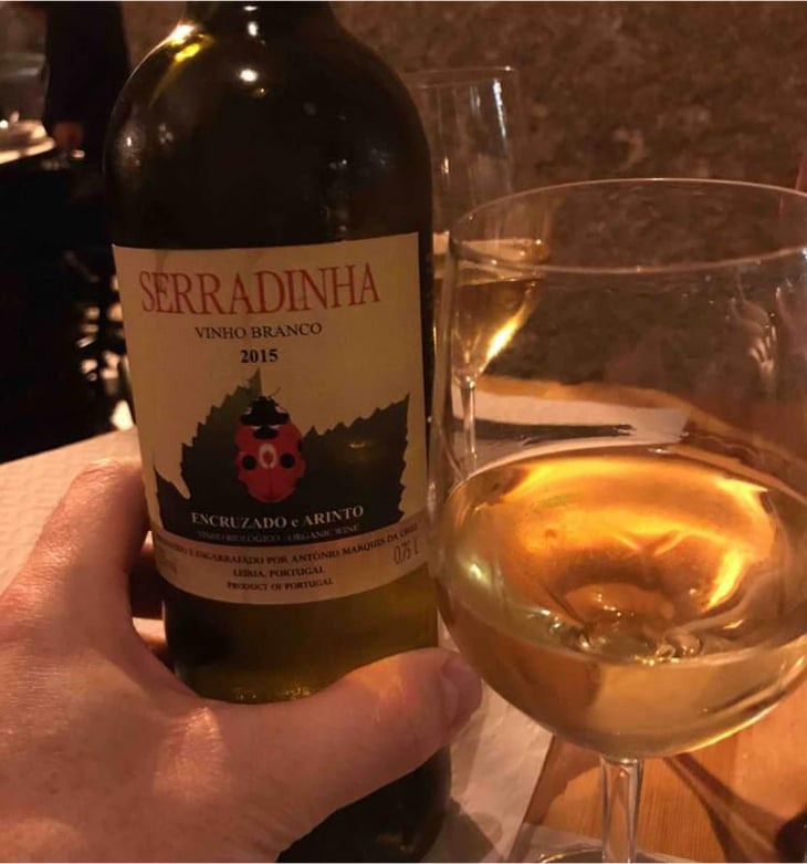 Arinto e Fernão Pires - Quinta da Serradinha - António Marques da Cruz 