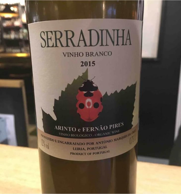 Arinto e Fernão Pires - Quinta da Serradinha - António Marques da Cruz 