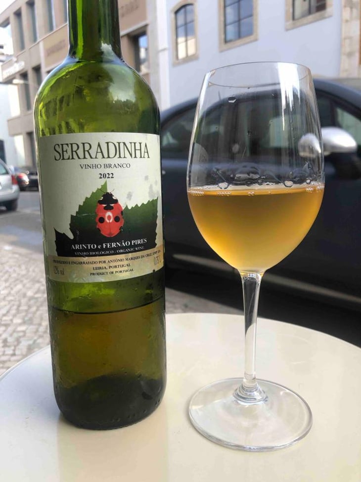 Arinto e Fernão Pires - Quinta da Serradinha - António Marques da Cruz 