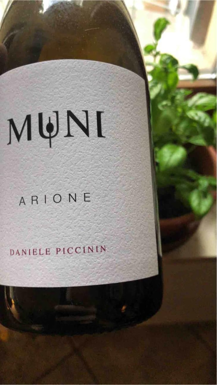 Arione - Muni Di Daniele Piccinin - Daniele Piccinin 