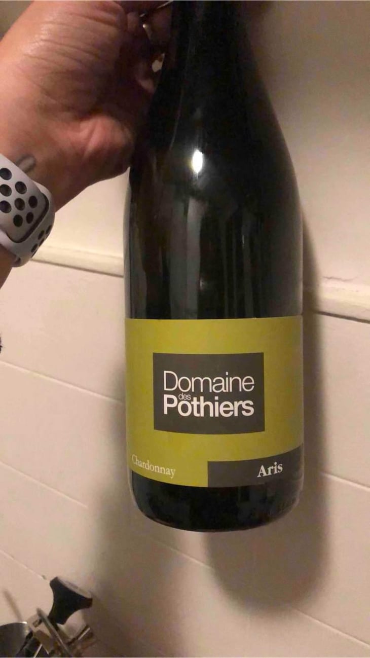Aris - Domaine des Pothiers - Denise, Georges & Romain Paire 