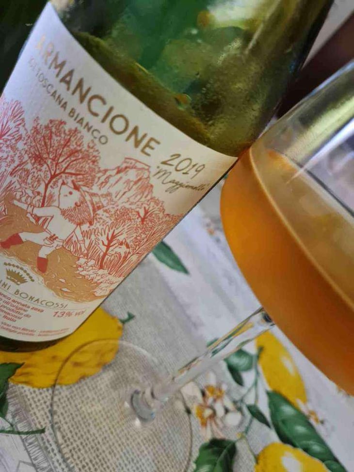 Armancione "Maggiomòllo" - Ugo Contini Bonacossi - Ugo Contini Bonacossi 
