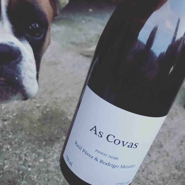 As Covas Pinot Noir - Bodegas y Viñedos Rodrigo Méndez/Bodegas Forjas del Salné - Rodrigo Méndez 