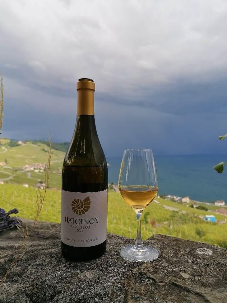Assyrtiko - Patoinos, Terre de l'Apocalypse - Josef Zisyadis 