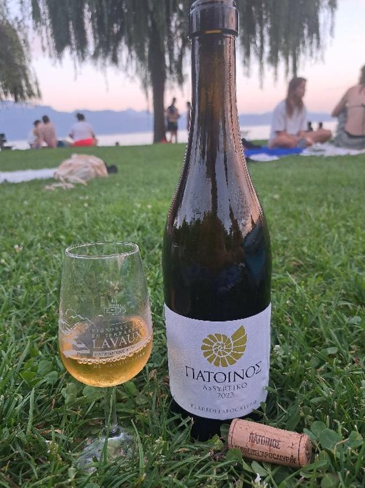Assyrtiko - Patoinos, Terre de l'Apocalypse - Josef Zisyadis 