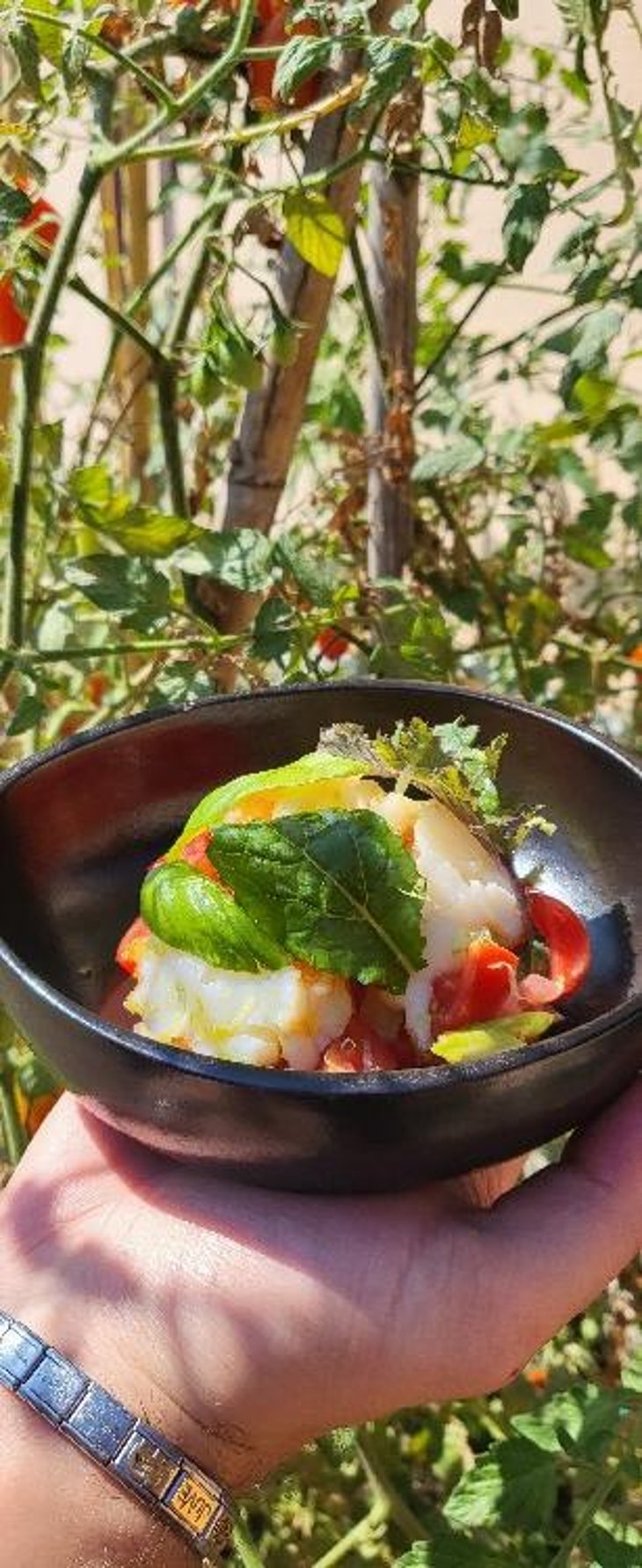 Astice Alla Catalana Rds - Osteria rosso di sera - 670900