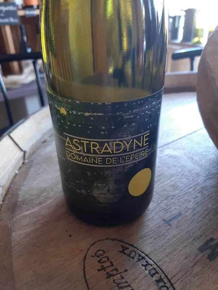 Astradyne - Domaine de l'Epeire - Philippe Petit 