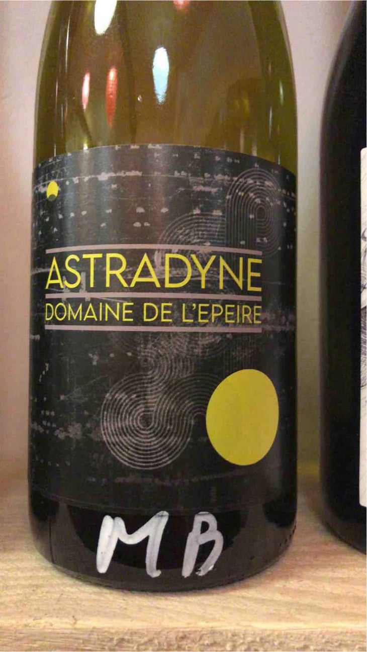 Astradyne - Domaine de l'Epeire - Philippe Petit 