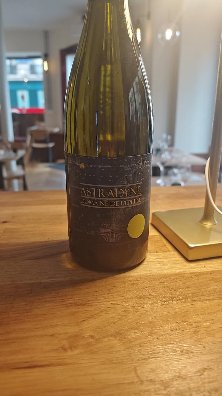 Astradyne - Domaine de l'Epeire - Philippe Petit 