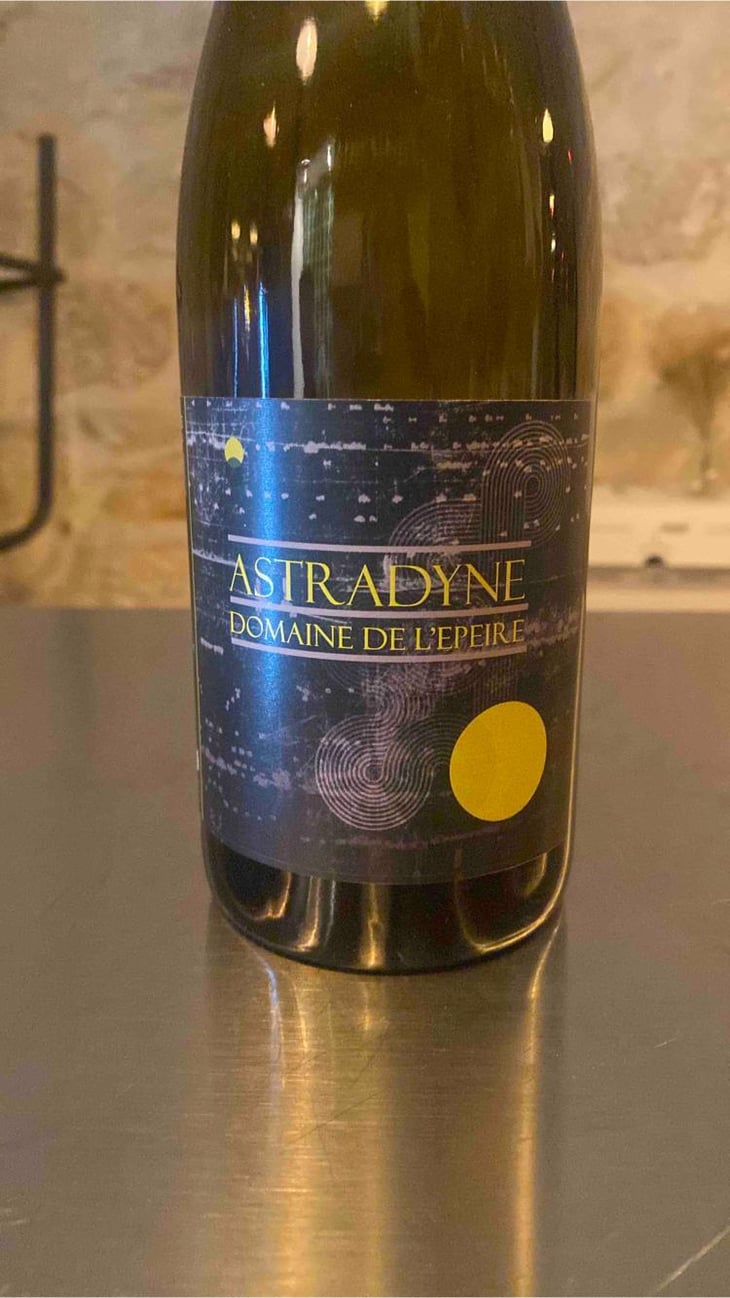 Astradyne - Domaine de l'Epeire - Philippe Petit 