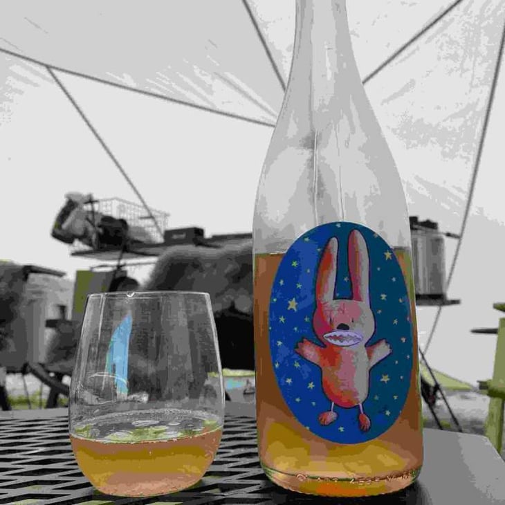 Astro Bunny - Wildman Wine - Tim Wildman 