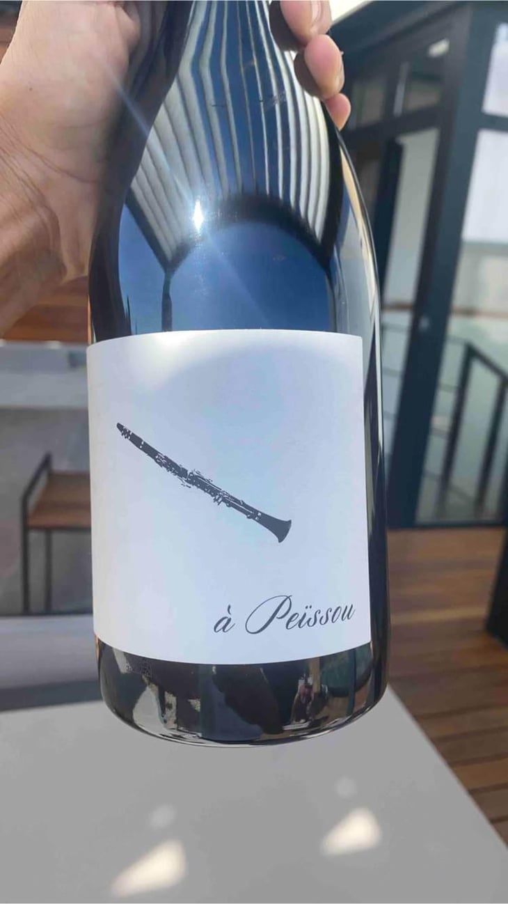 À Peissou - Domaine des Amiel - Aymeric & Jordan Amiel 