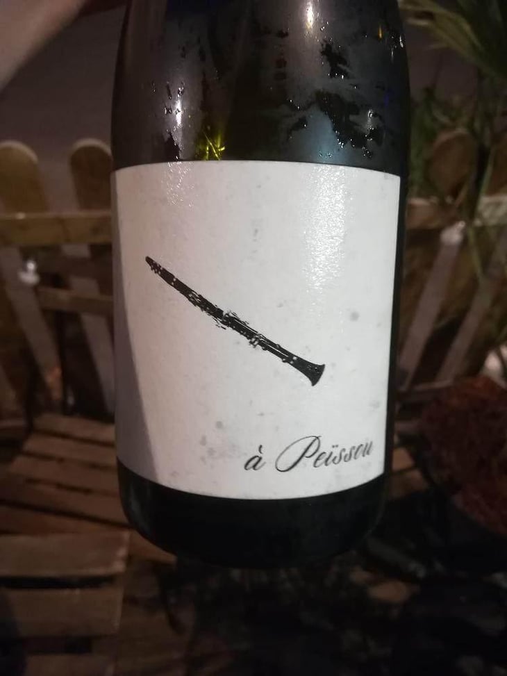 À Peissou - Domaine des Amiel - Aymeric & Jordan Amiel 