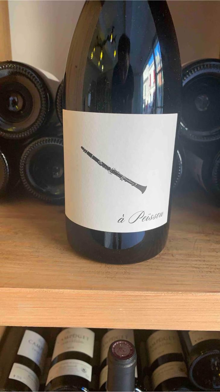 À Peissou - Domaine des Amiel - Aymeric & Jordan Amiel 