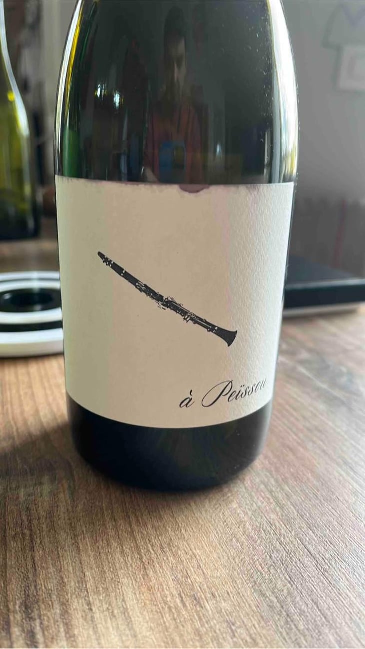À Peissou - Domaine des Amiel - Aymeric & Jordan Amiel 