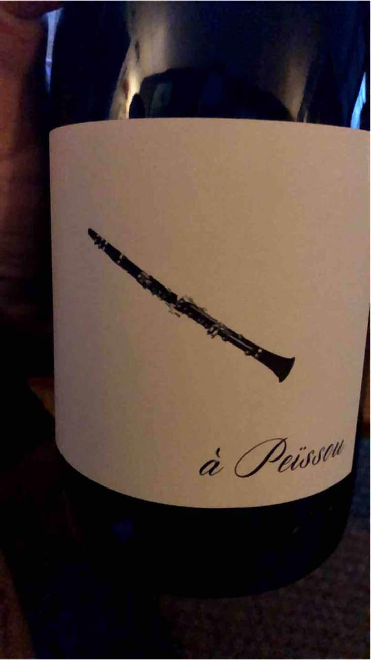 À Peissou - Domaine des Amiel - Aymeric & Jordan Amiel 
