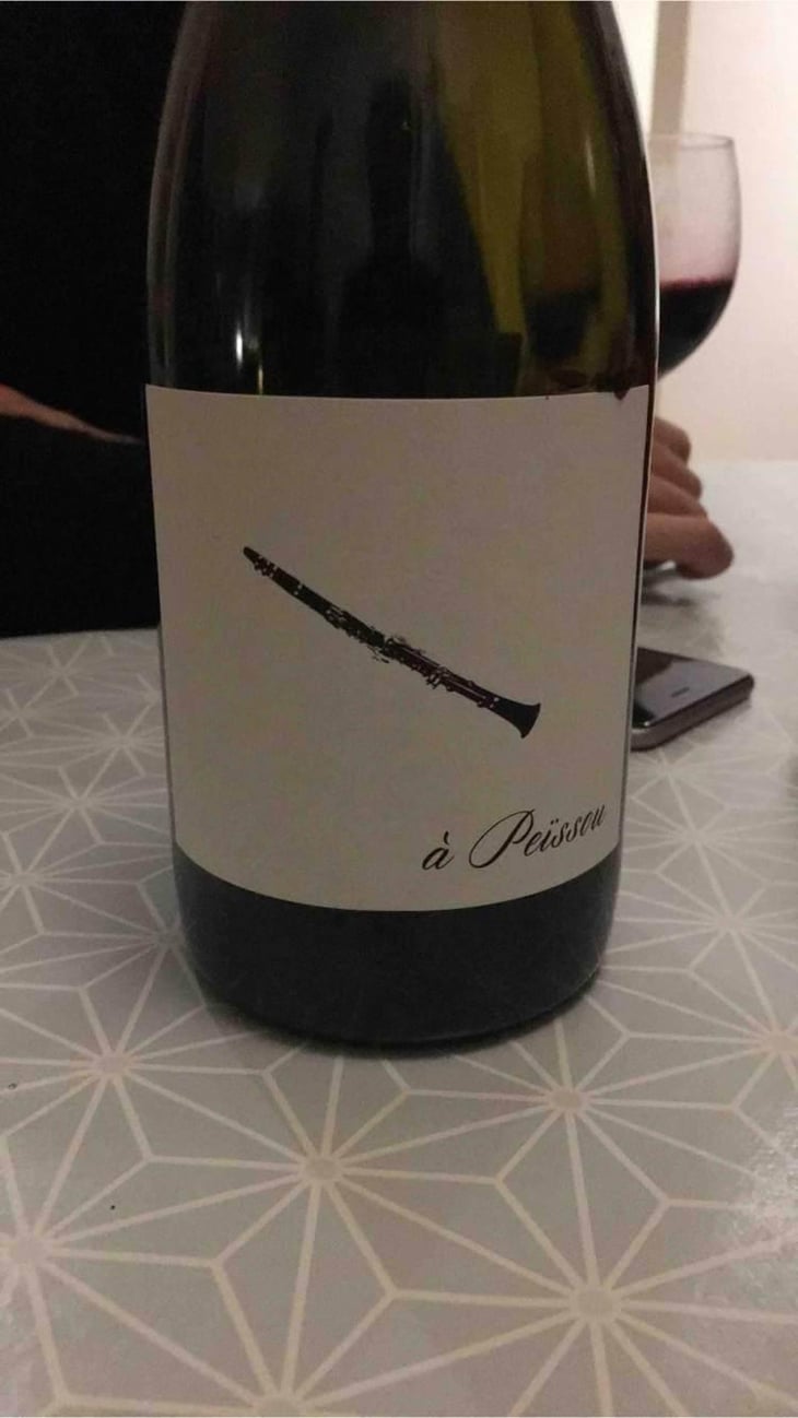 À Peissou - Domaine des Amiel - Aymeric & Jordan Amiel 