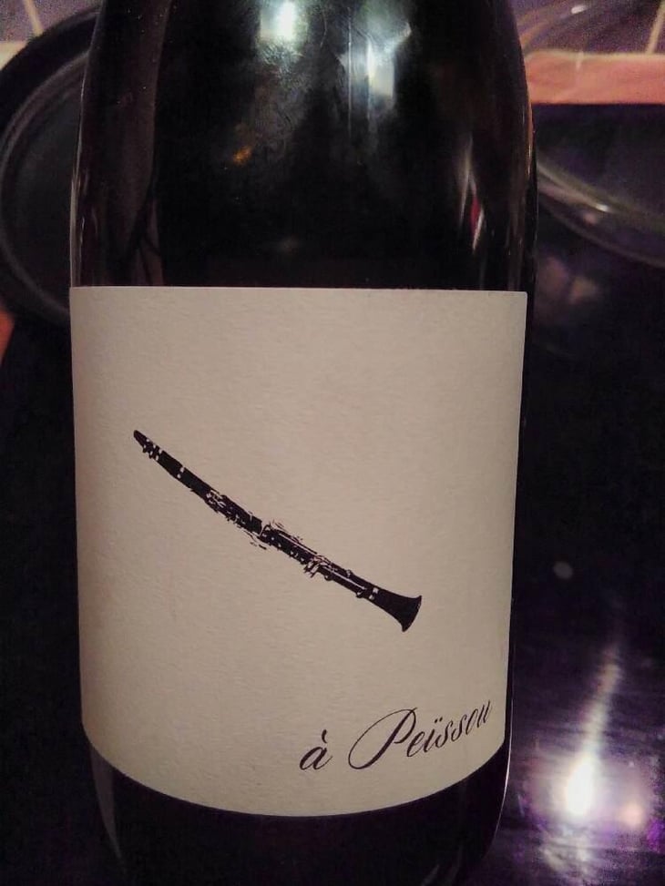 À Peissou - Domaine des Amiel - Aymeric & Jordan Amiel 