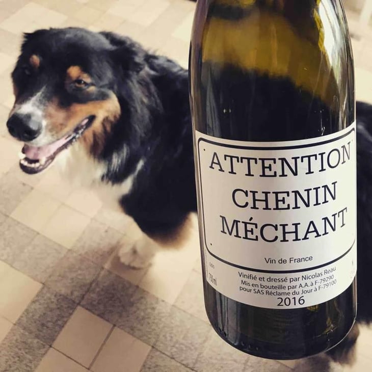 Attention Chenin Méchant - Le Clos des Treilles - Nicolas Reau 