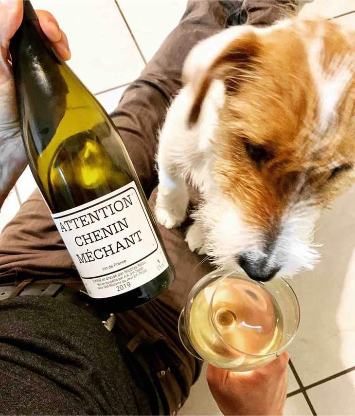 Attention Chenin Méchant - Le Clos des Treilles - Nicolas Reau 