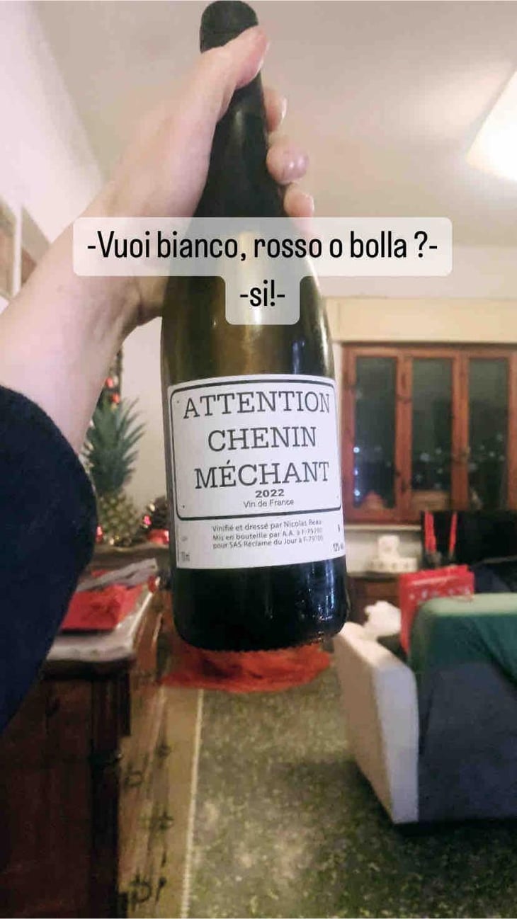 Attention Chenin Méchant - Le Clos des Treilles - Nicolas Reau 