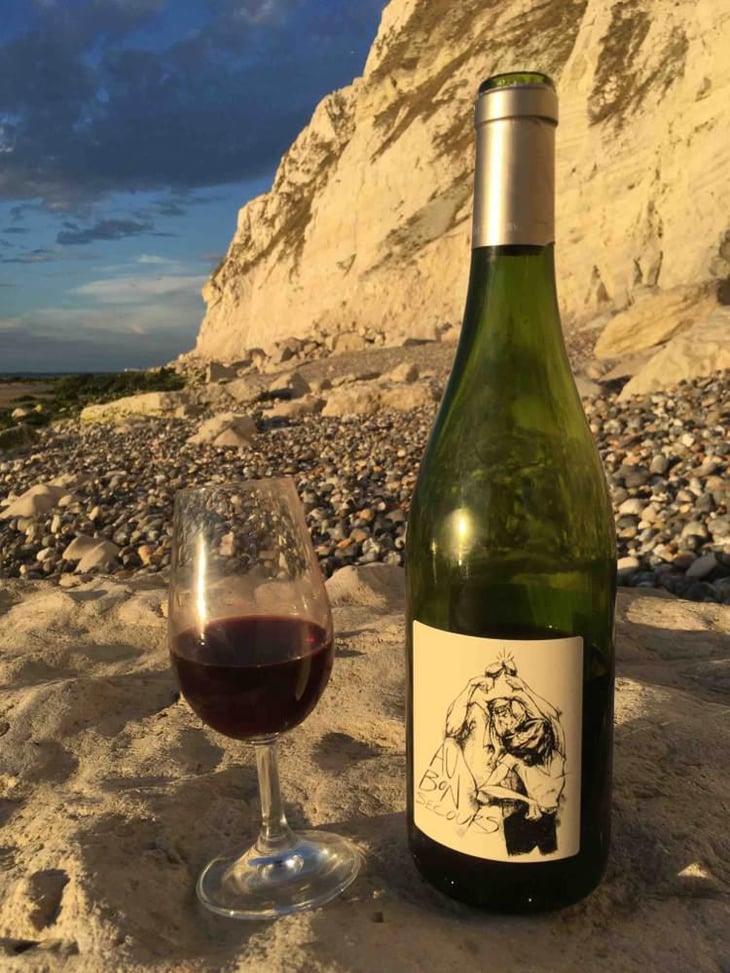 Au Bon Secours - Gaec Les Vigne De Babas - Sebastien Dervieux 