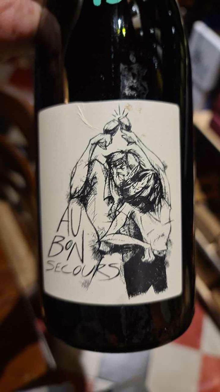 Au Bon Secours - Gaec Les Vigne De Babas - Sebastien Dervieux 