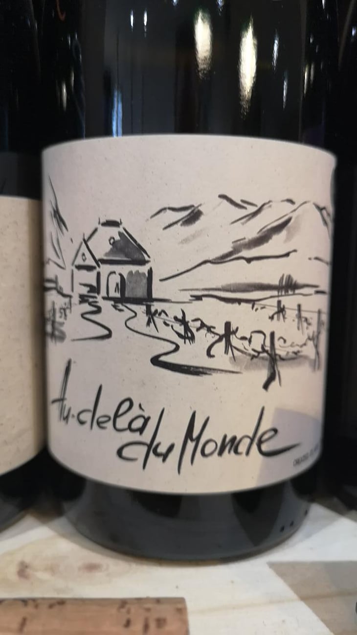 Au Dela Du Monde - Domaine Des Rutissons - Laurent Fondimare et Wilfrid Debroize -2021