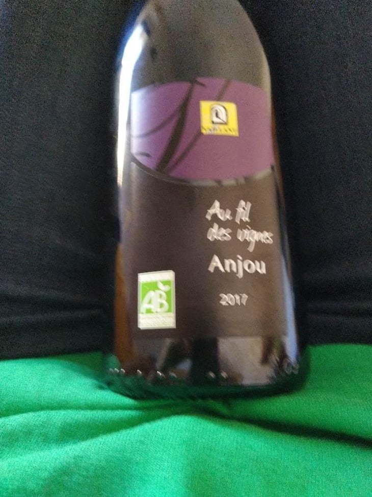Au Fil des Vignes - Les Grandes Vignes - Laurence, Dominique & Jean-François Vaillant 