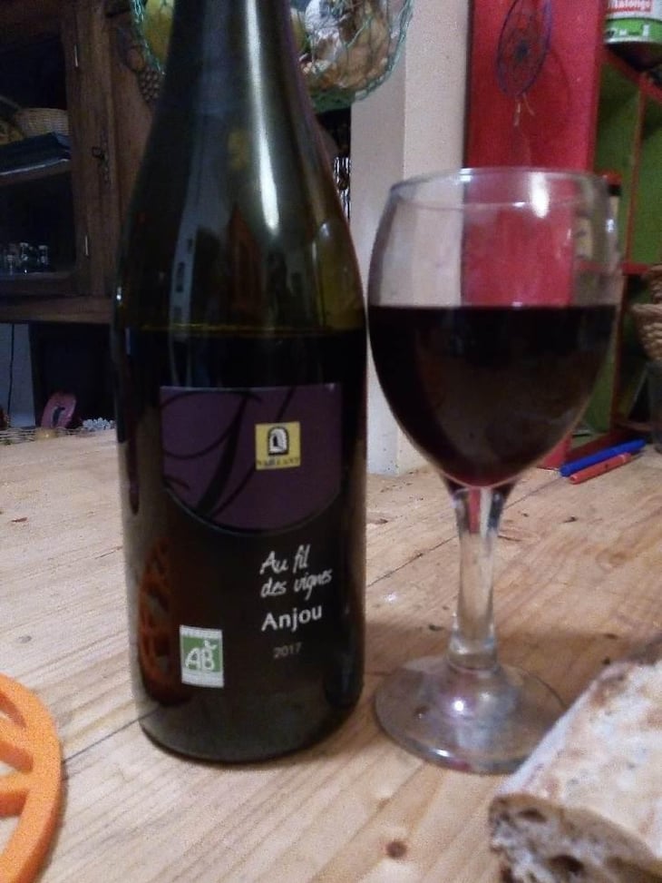Au Fil des Vignes - Les Grandes Vignes - Laurence, Dominique & Jean-François Vaillant 